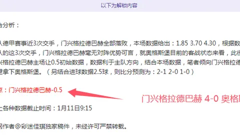 2025年1月11日赫曼施塔特与费尔干纳夫兹友谊赛：回顾往昔交锋、战绩分析及赛事预测